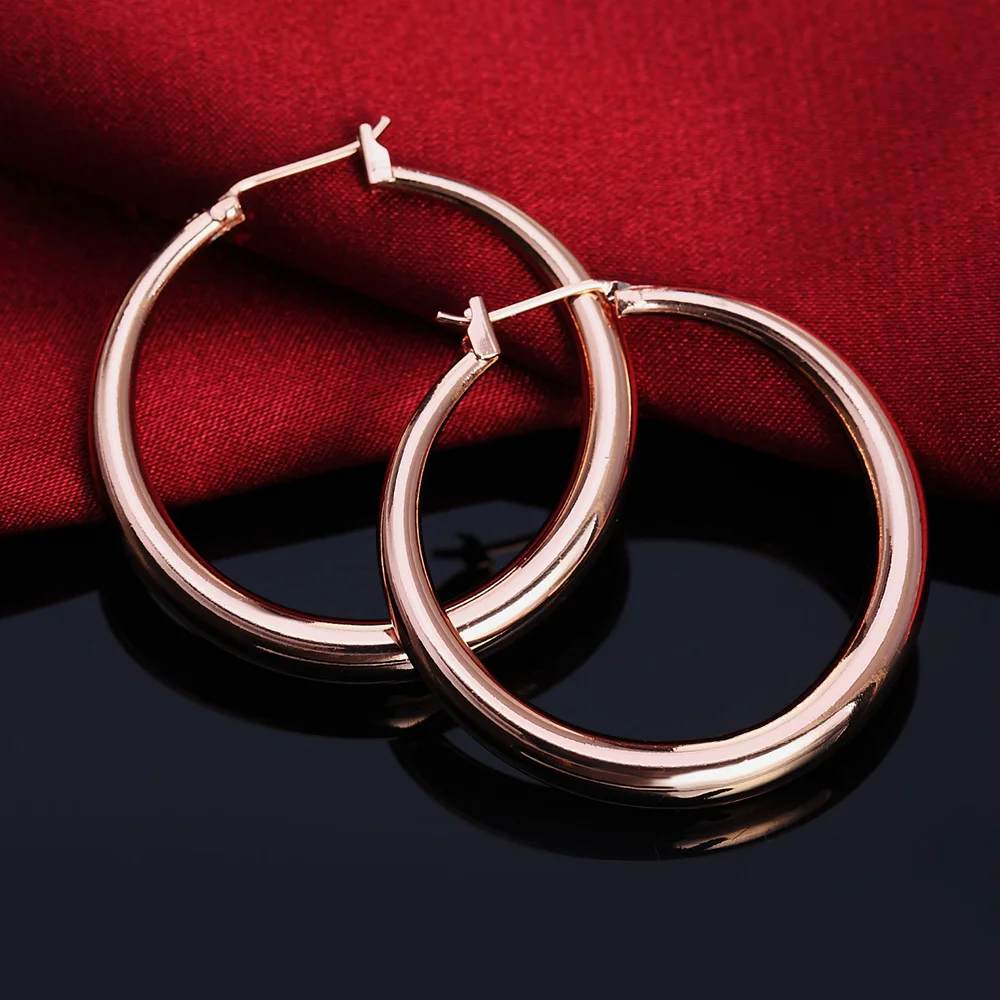 Hot Luxury 925 Sterling Silver - Street Fashion Earrings 评论和价格